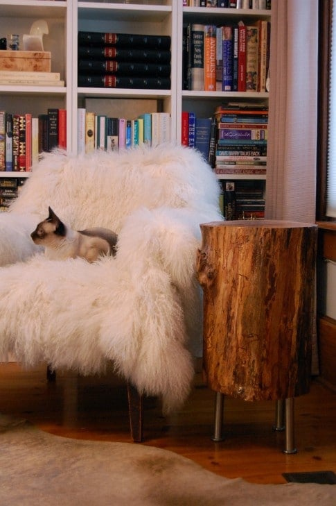 Tables Made Out of Tree Stumps