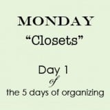 How to Organize your Closet!  Day 1 of 5 days of Organizing
