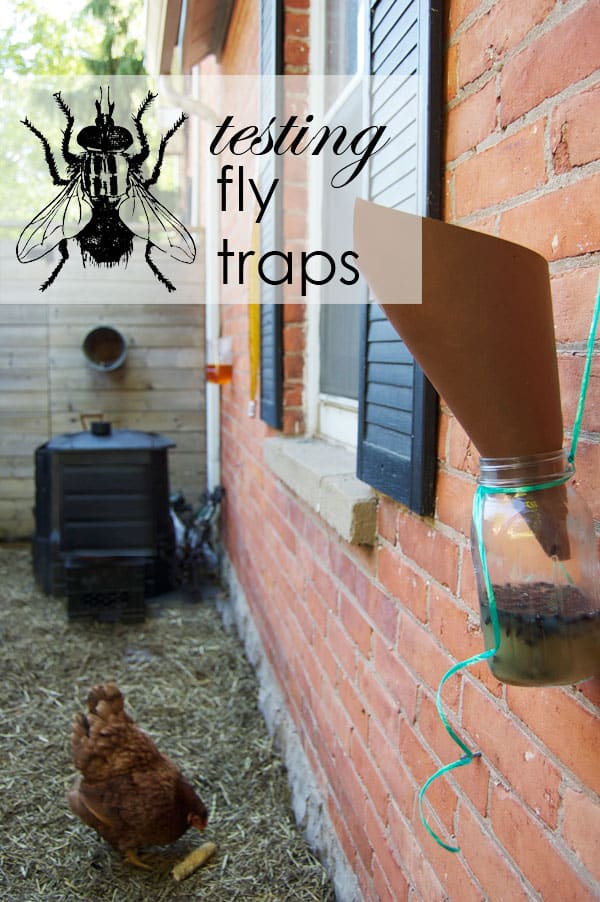 Goodbye House Flies - Easy DIY Fly Trap (Homemade Version)