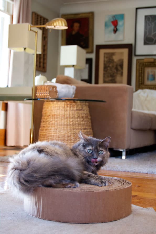 Cat lounging and licking its lips while laying on a round scratching pad.