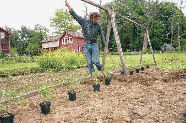 How to String Train Tomatoes - New Way to Stake TomatoesThe Art of