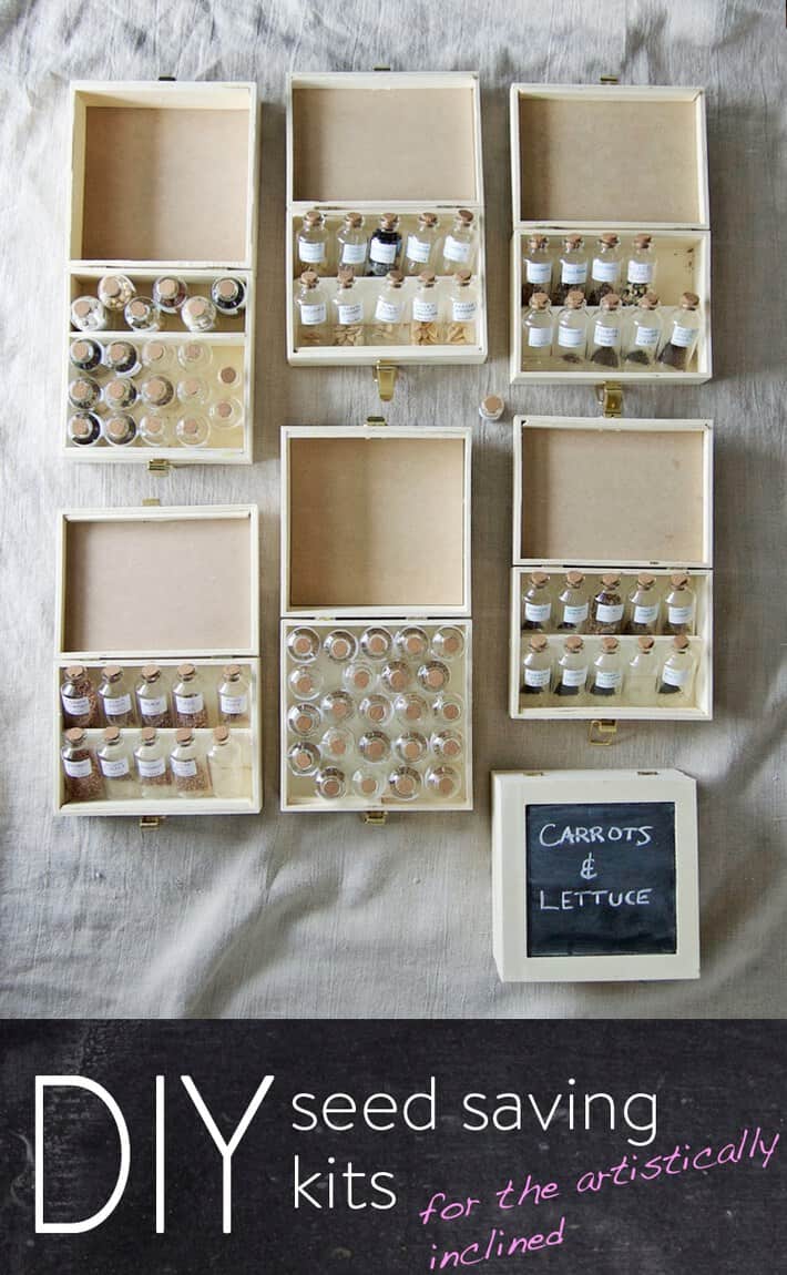 Seed storage. DIY box kits for storing vegetable seeds.