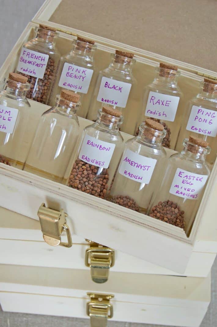 Creative Seed Storage Ideas: Interesting Containers For Seed