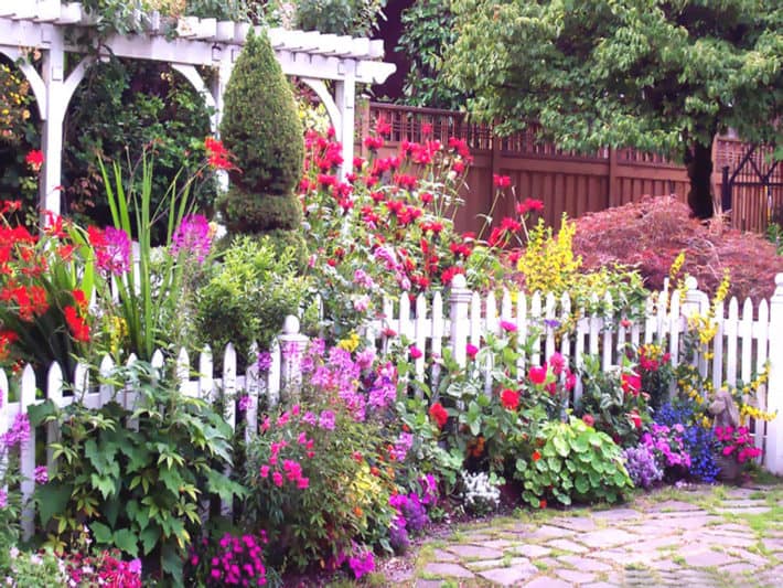 Cottage garden en pots – Un jardin à l'anglaise sur mon balcon - Mango and  Salt