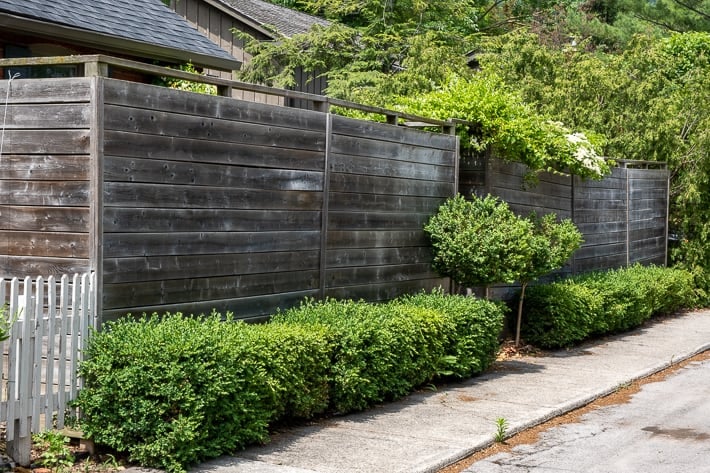 Horizontal fence runs the length of a sidewalk with boxwood hedge and topiary.