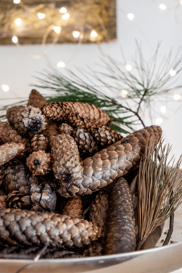 My X-mas begins with pine cones decorations. I made all myself
