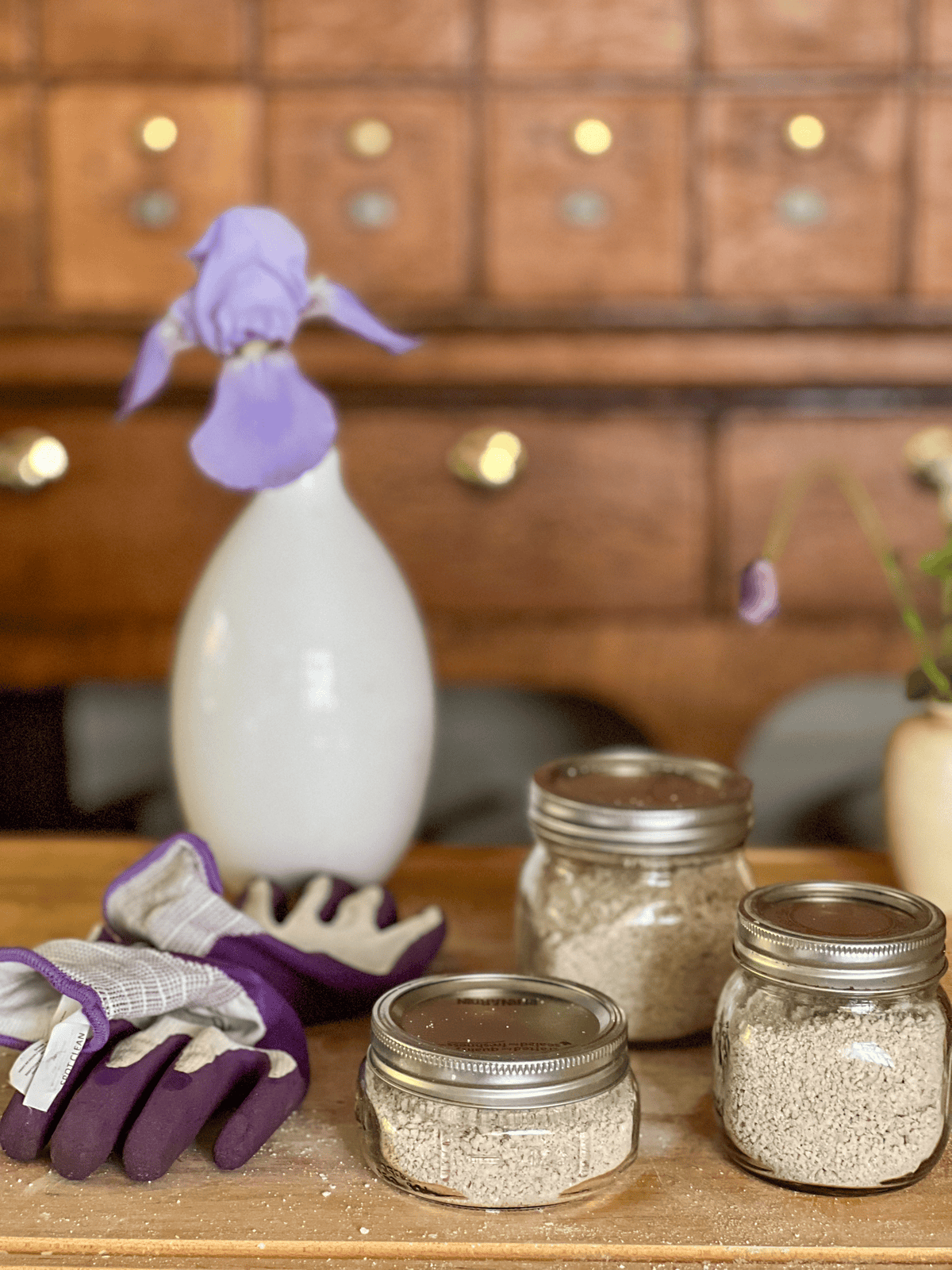 3 mason jars filled with homemade garden scrub for hands on a wood cutting board with purple gardening gloves.