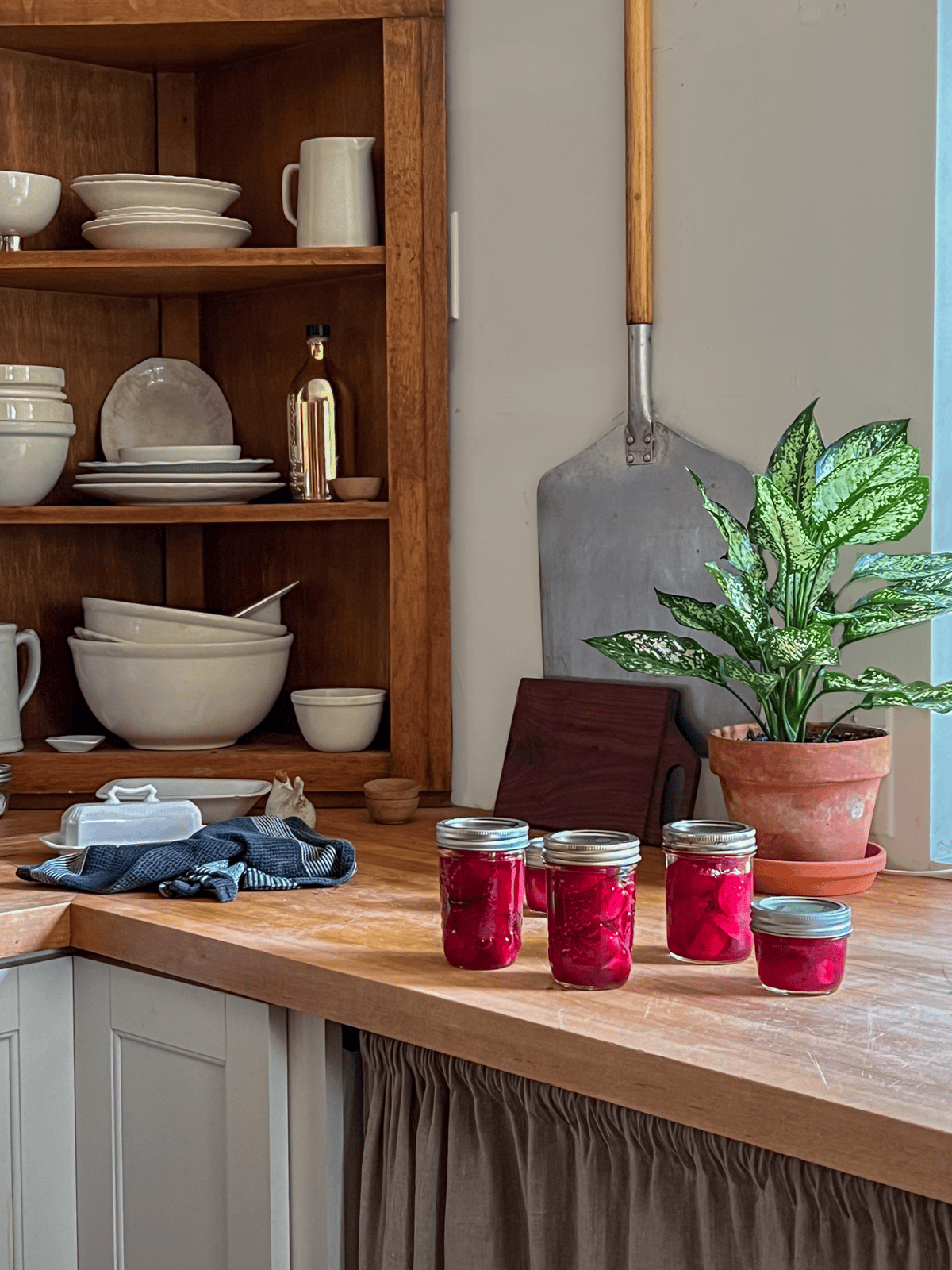 Jars of newly canned beets on wood countertop in country kitchen.