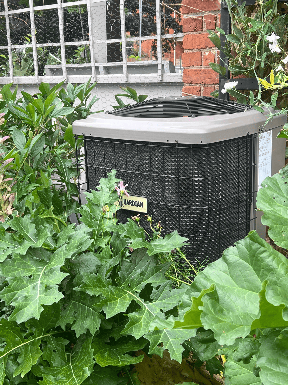 Central air conditioning unit in garden with plantings too close to it.