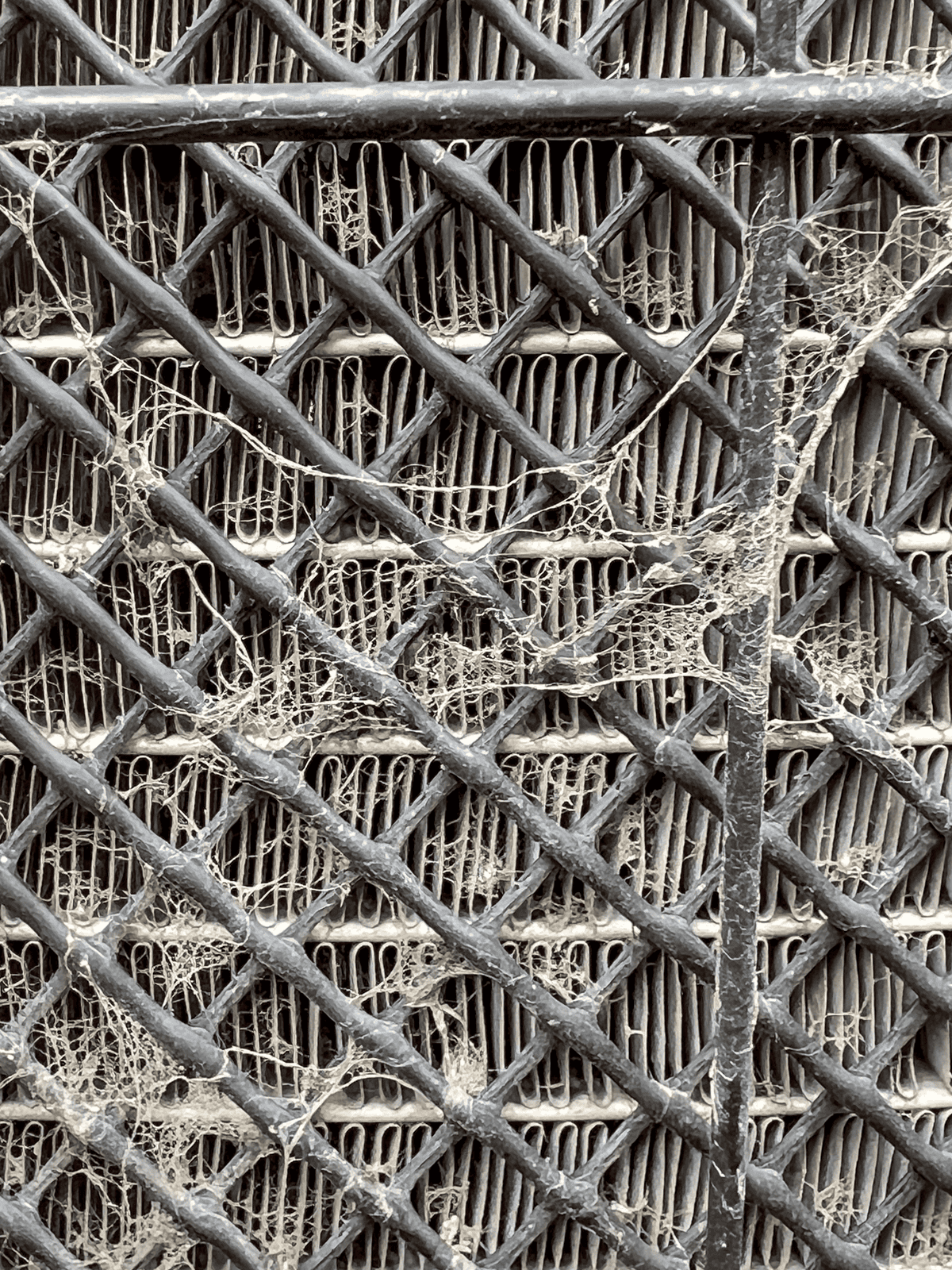 Dirty, dusty, cobweb covered coils on outdoor AC unit.