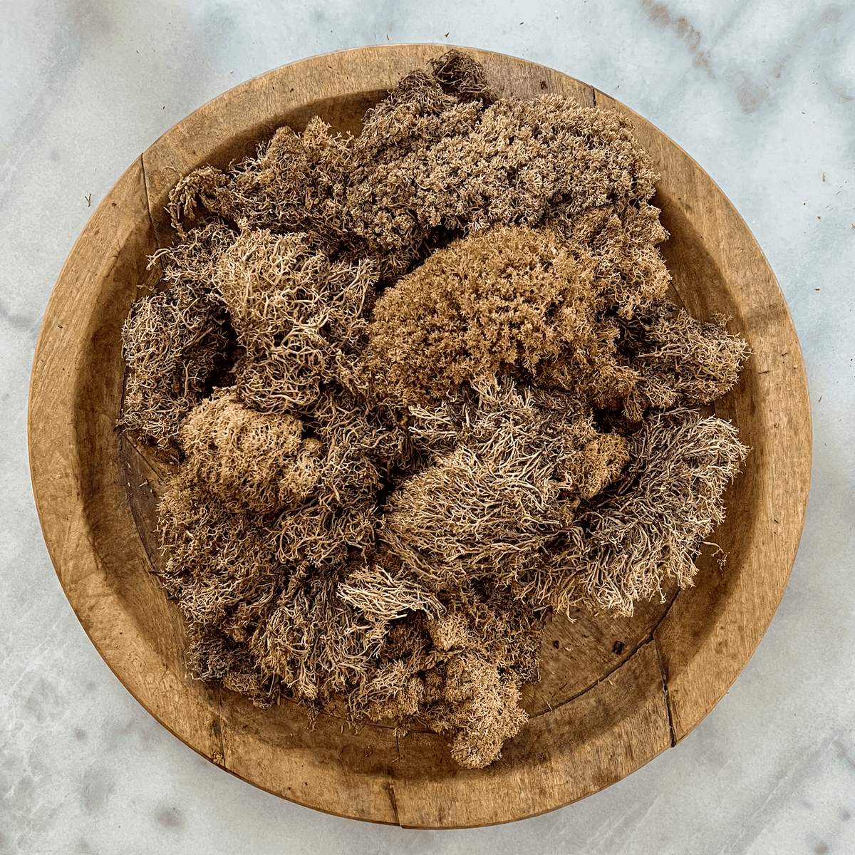 Natural coloured preserved reindeer moss on a round wood platter.