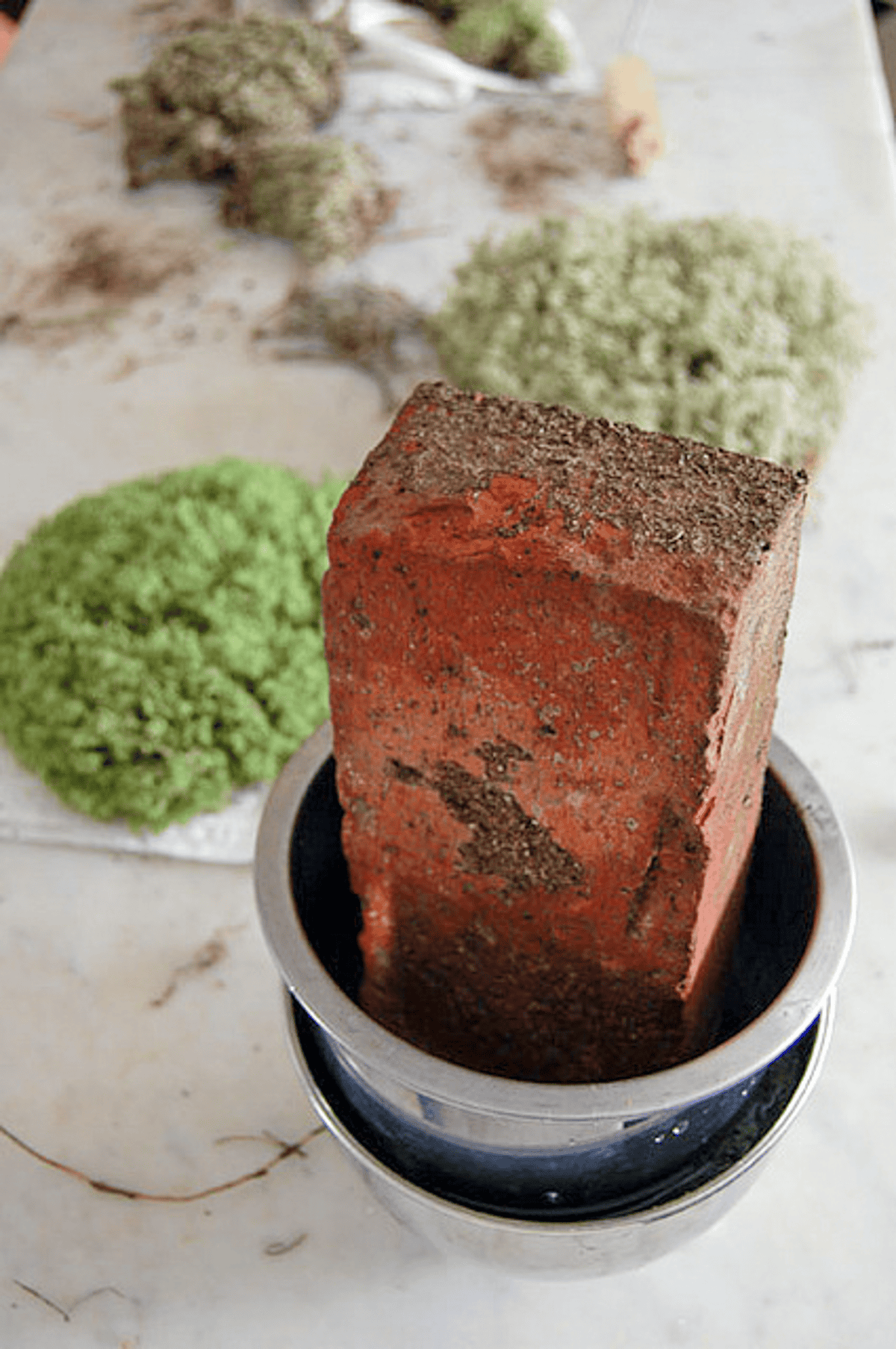 A red brick weighs down a stainless steel bowl with reindeer moss.