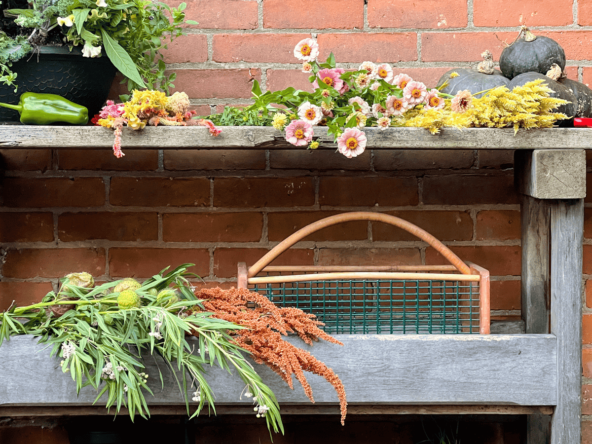 Zinnia, amaranth, balloon flower and celosia on a wood potting table.