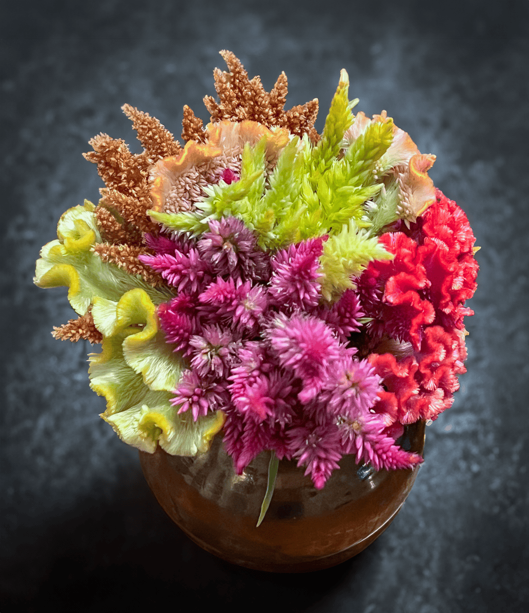 Small mound of very bright celosia in a copper coloured ceramic vase.