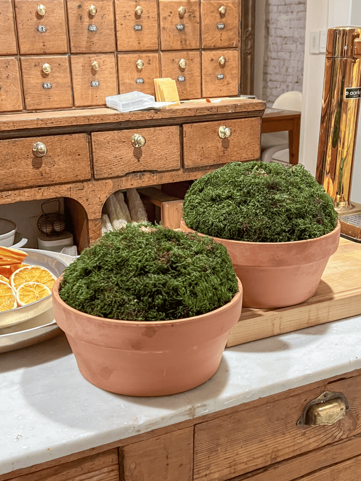 DIY sheet moss balls in clay pots.